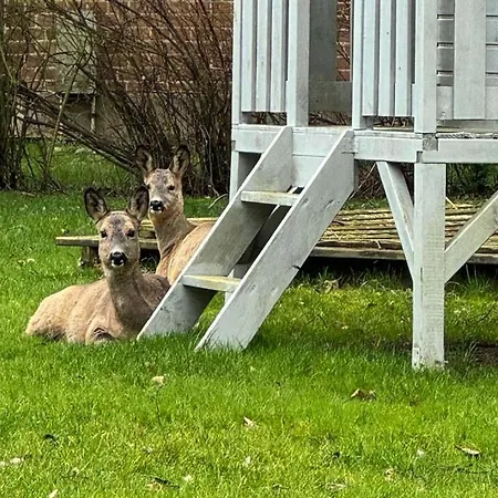 公寓 Voss 1 Staberdorf