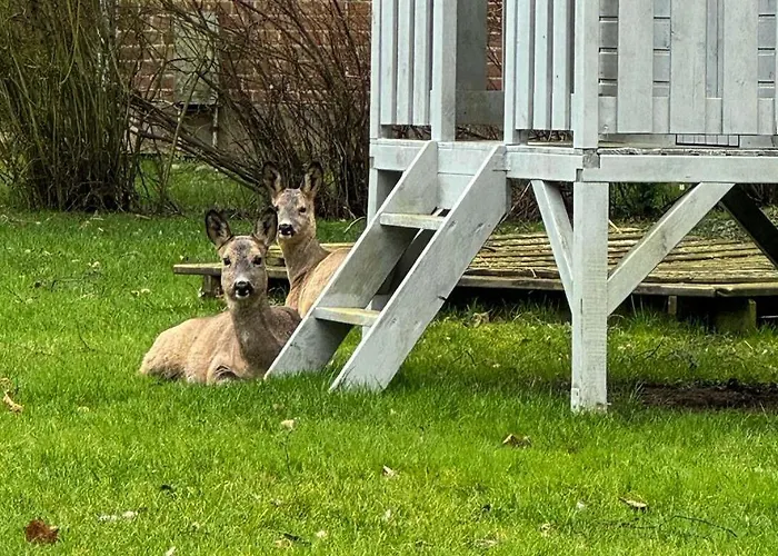 Apartamento Voss 1 Staberdorf